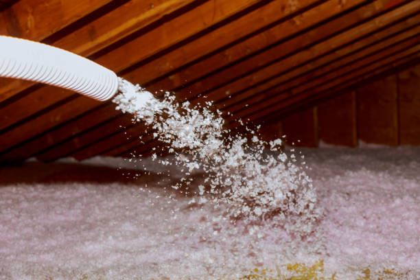 Best Insulation Installation Services in Indian Hills, TX