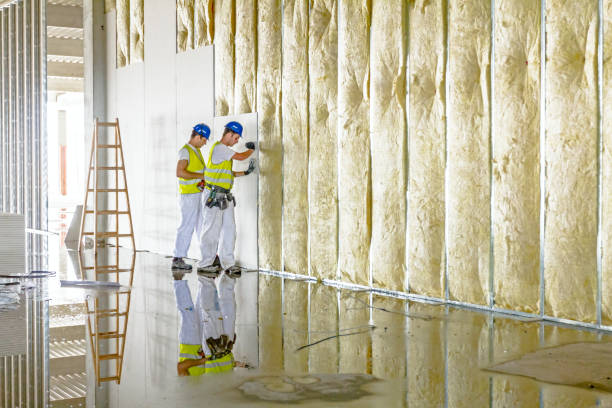 Best Insulation Maintenance and Repair in Indian Hills, TX